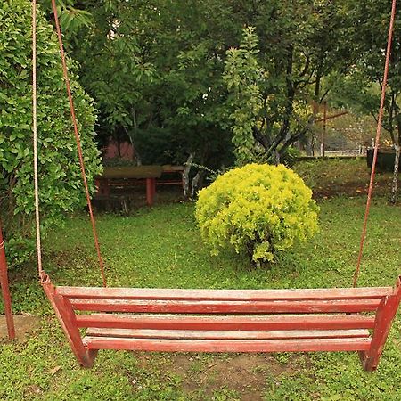 Gajanovic Rooms Donji Milanovac Ngoại thất bức ảnh
